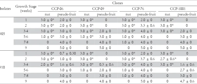 Table 4 – Reaction class (RC) 1  scores on pseudo-fruits and attached nuts of different clones of Anacardium occidentale at different stages of development,  96 h after inoculation with isolates 905 and 910 of Colletotrichum gloeosporioides in a controlled