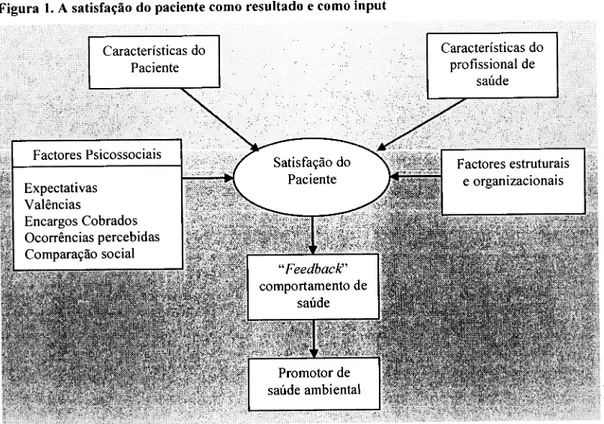 Figura  l.  A  satisfação  do  paciente  como  resultado  e  como  input