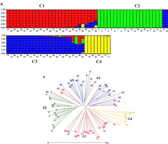 Figure 1 – Genetic diversity of pigeonpea genotypes and cross-species amplification between Phaseolus vulgaris and Vigna unguiculata.