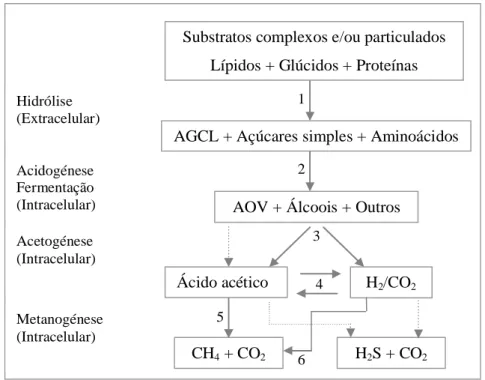 Figura 2-1 Representação esquemática simplificada das etapas constituintes da digestão anaeróbia,  baseada  em Demirel e Scherer (2008), O’Flaherty et al (2006)  e Pavlostathis e Giraldo-Gomez (1991)