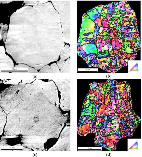 Figure 5. SEM and IPF maps of (a), (b) Ni powder, (c) and (d) Ni-CNT powder after pressing