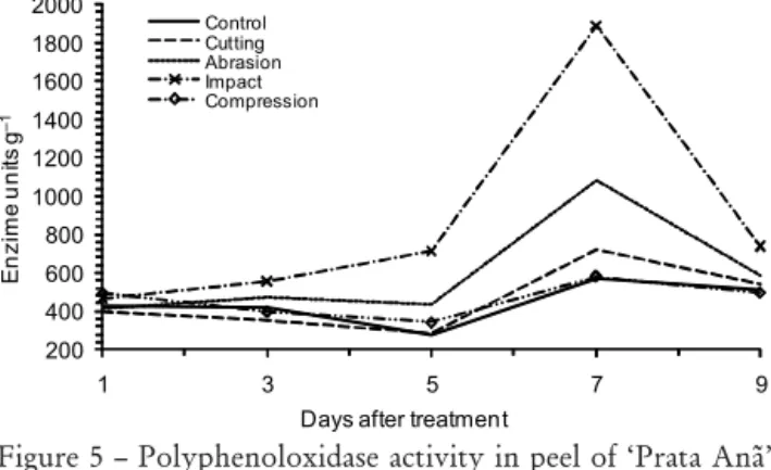 Figure 5 – Polyphenoloxidase activity in peel of ‘Prata Anã’