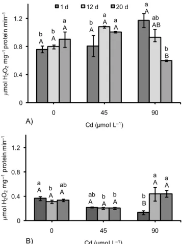 Figure 4 – CAT activity in leaves (A) and roots (B) of P. glomerata subjected to three concnetrations of Cd in nutrient solution