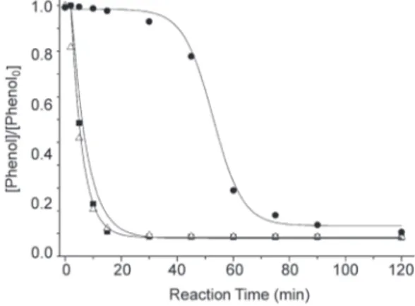 Figure 4 – Effect of added Fe 2+ and Cu 2+  ions on the degradation  of  phenol.  Experimental  conditions:  [phenol] initial  =  10  mM; 