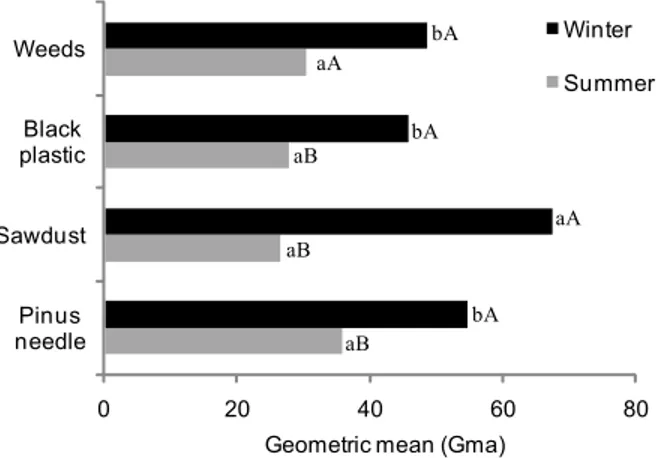 Figure 2 – Geometric mean of microbial compartments in winter (Februar y/2006) and summer (August/2006) in integrated apple orchard under different soil covers in Vacaria, Brazil