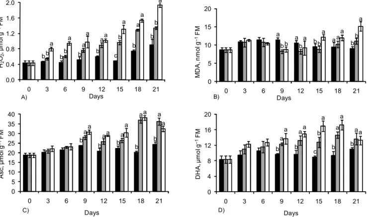 Figure 3 – Hydrogen peroxide (A), lipid peroxidation (B), ascorbic acid (C) and dehydroascorbate (D) in coffee seedlings submitted to three water regimes: field capacity ( ), gradual suspension of irrigation ( ) and total suspension of irrigation ( ).Value