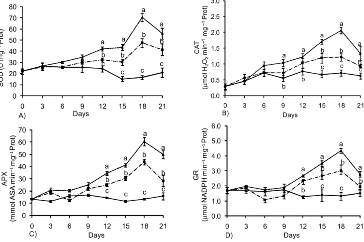 Figure 4 – Activity of the enzymes SOD (A), CAT (B), APX (C) and GR (D), in coffee seedlings submitted to three water regimes: