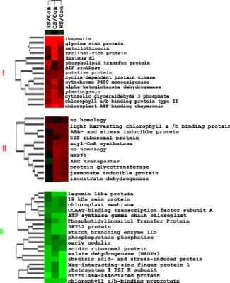 Figure 4 – Expression profiles of maize kernel transcripts subjected to heat stress (HS), combined stress (CS) and water stress (WS)