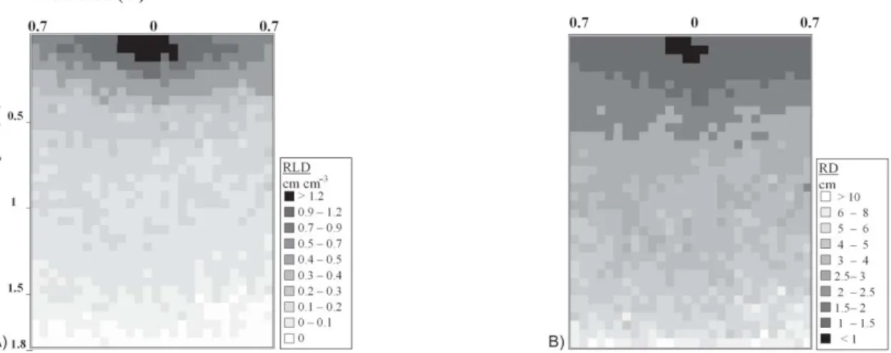 Figure 5 – Mean profiles of root length density (RLD) obtained 60 DAR according to three soil managements using the root intersection (RIC) method
