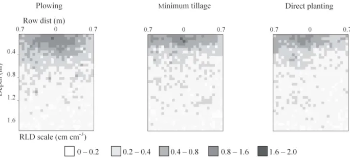 Figure 6 – 2-D mean root distribution for the three soil tillage methods from 16 studied soil profiles (4 dates, 4 replications)