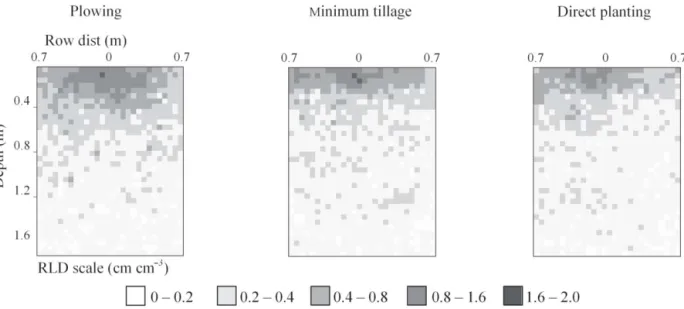 Figure 6 – 2-D mean root distribution for the three soil tillage methods from 16 studied soil profiles (4 dates, 4 replications)
