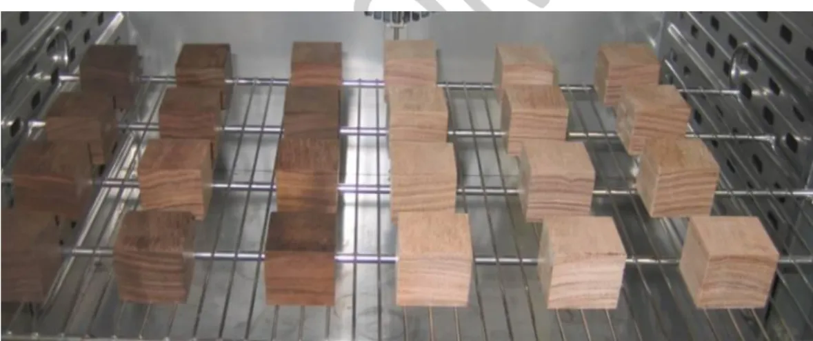 Fig. 4. Determination of wood dimensional stability using a temperature and humidity controlled  cabinet