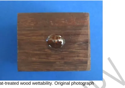 Fig. 9. Determination of heat-treated wood wettability. Original photograph 