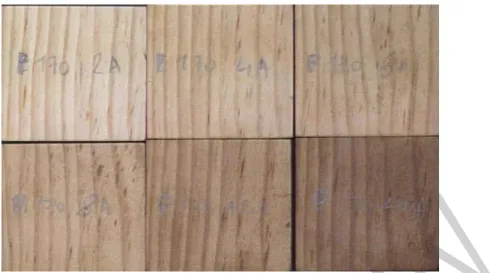 Fig. 10. Darkening of Pinus pinaster wood with heat treatment at 170ºC during 2-24h. Adapted  from Esteves (2006) 