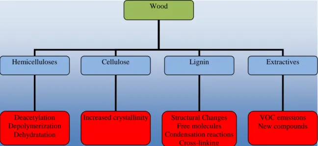 Fig. 2. Chemical changes occurring in the main component of wood due to heat treatment