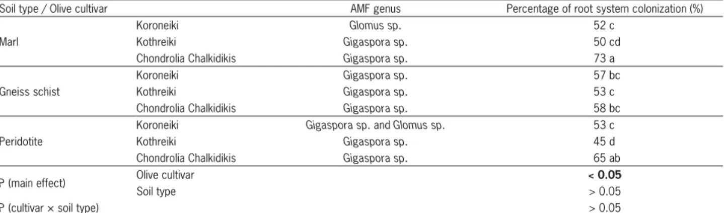 Table 3 – Plant growth parameters of the three olive cultivars studied, when grown in three soil types (DW = Dry Weight).