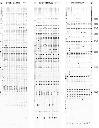Figure 2 – Dendogram of the genetic relationships among 15 isolates  (14  FOP  and  one  FOC)  obtained  with  the  use  of  the  dissimilarity  matrix with simple matching coefficient