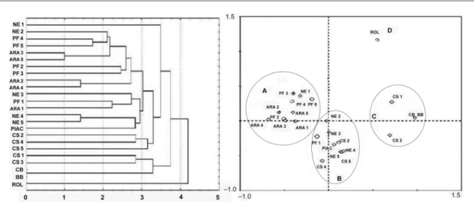 Figure 1 – Cluster dendrogram Unweighted Pair-Group Method with Arithmetic Averages (UPGMA) (I) and analysis of the main components (II)  generated from a matrix of Euclidian distance, determined by the restriction fragment length polymorphism (RFLP) techn