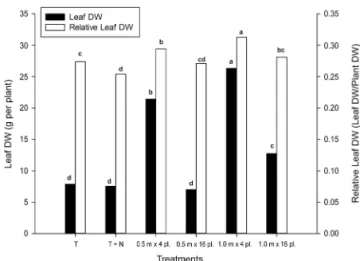 Figure 2 − Dry weight (DW) of leaflets per plant and relative dry  weight of leaflet/total shoot dry weight at R5, as a function of  plant density