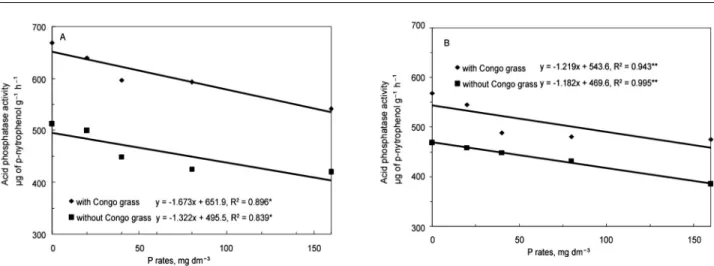 Figure 3 − Acid phosphatase activity (µg de p-nitrophenol g −1  h −1 ) as affected by P rates (with and without Congo grass) in two tropical soils