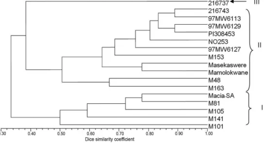 Figure 1 − Phenetic dendrogram generated using morphological data of 17 sorghum accessions depicting their relationships based on  Unweighted Pair-Group Method with Arithmetic Mean clustering from pairwise comparisons employing the Dice genetic similarity 
