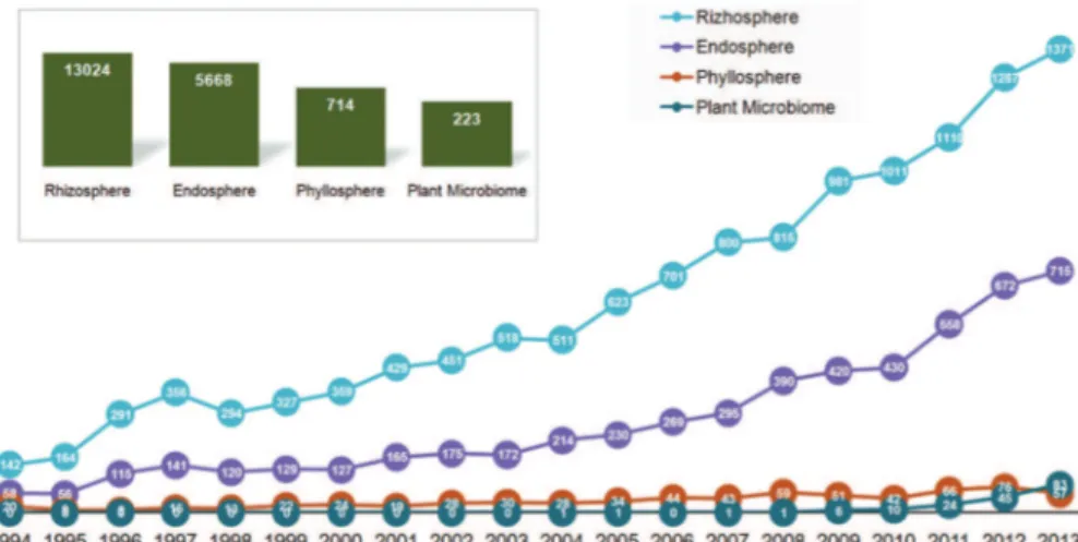 Figure 2 − Numbers of scientific publications on the topics of “plant microbiome,” “rhizosphere,” “endosphere” and “phyllosphere” in the last 20  years