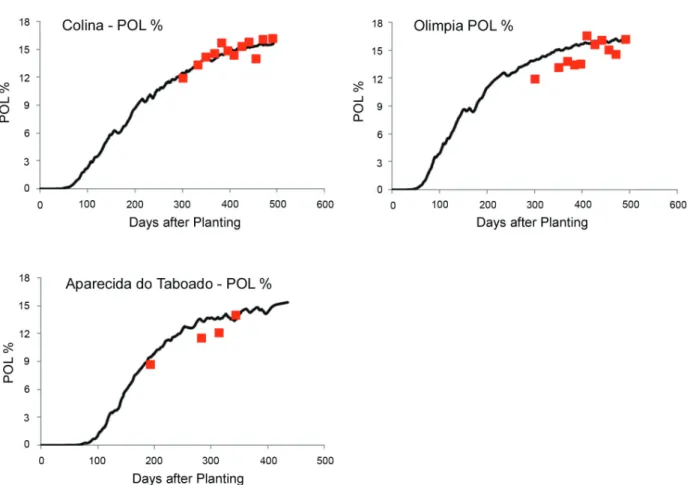 Figure 8 – Time variation of simulated and observed sucrose content for three datasets of cultivar SP83-2847, using optimized parameter from  Table 2.