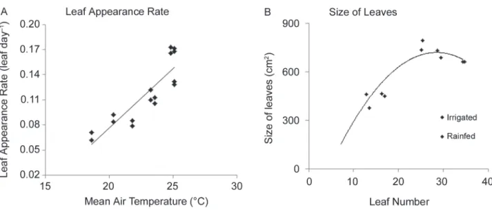 Figure 4 – A) Leaf development rate versus temperature; and B) leaf size and number of leaves relationship of cultivar SP83-2847.
