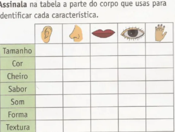 Figura 2. Quadro para preenchimento sobre os órgãos dos sentidos (Pires, Landeiro,  Gonçalves &amp; Pereira, 2011)