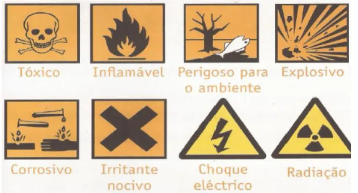 Figura 8. Simbologia dos sinais que indicam perigo (Pires, Landeiro, Gonçalves &amp; 