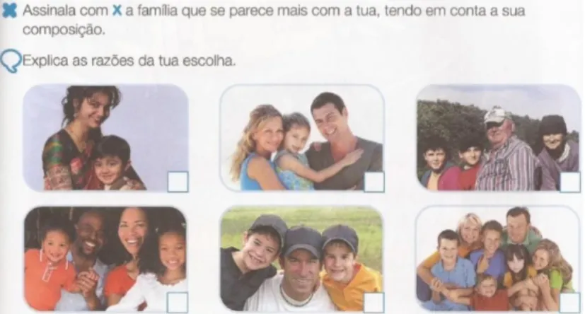 Figura 11. Diferentes estruturas familiares (Lima, Barrigão, Pedroso &amp; Santos, 2012)