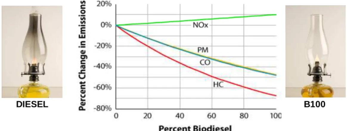 Figure 7- Transesterification reaction for biodiesel production. 