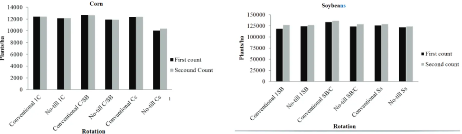 Figure 1. Plants/ha in different tillages and rotation of soybeans and corn.  1 Corn treatment: the first year corn after four years of soybeans (1C); alternating each year  with corn and soybeans (C/SB); continuous corn (Cc)