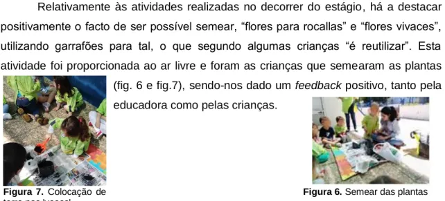 Figura  7.  Colocação  de  terra nos 'vasos' 