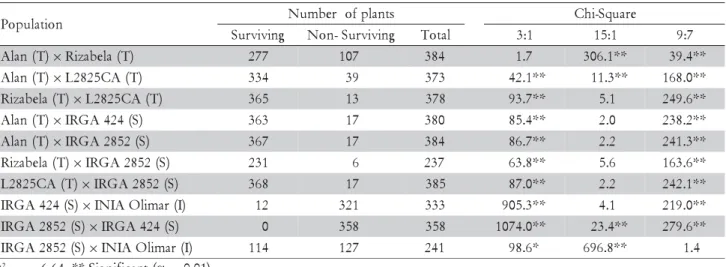 Table 4 – Percentage of plant survival of the parents used in the study of the inheritance of cold tolerance at the seedling stage of rice.