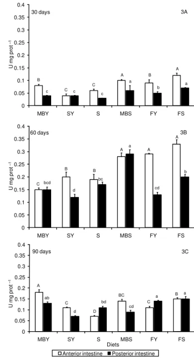 Figure 2 – Chymotrypsin activity (U mg –1  prot) in intestine of jundiá after 30 (2A), 60 (2B) and 90 (2C) feeding days