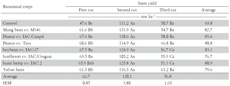 Table 8 – Yield of millable stems of sugarcane grown after rotational crops planted before the first sugarcane cycle.