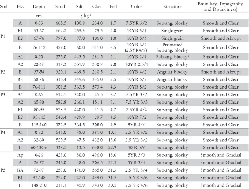 Table 3 – Sand grain size statistics and interpretation.