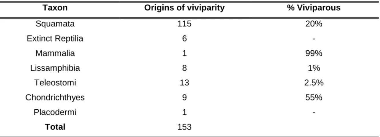 Table  1.1  Minimum  number  of  independent  evolutions  of  viviparity  and  percentage  of  known  viviparous  species  per  taxon