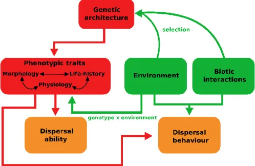 Fig. 1.4 Diagram of the intrinsic (red boxes) and extrinsic (green boxes) factors that influence the evolution  and expression of dispersal-related traits (orange boxes)