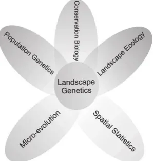 Fig.  1.10  A  landscape  genetics  framework  integrates  a  broad  range  of  fields