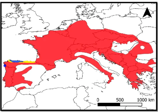 Fig. 1.13 Distribution range of S. salamandra. Throughout most of its range, S. salamandra females are larviparous (red), while  pueriparity is restricted to a small area in northern Spain (blue)