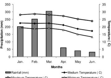 Figure 1 - Monthly average of maximum, medium and minimum temperatures and precipitation during trial (January to June 2005), in Viçosa, MG.