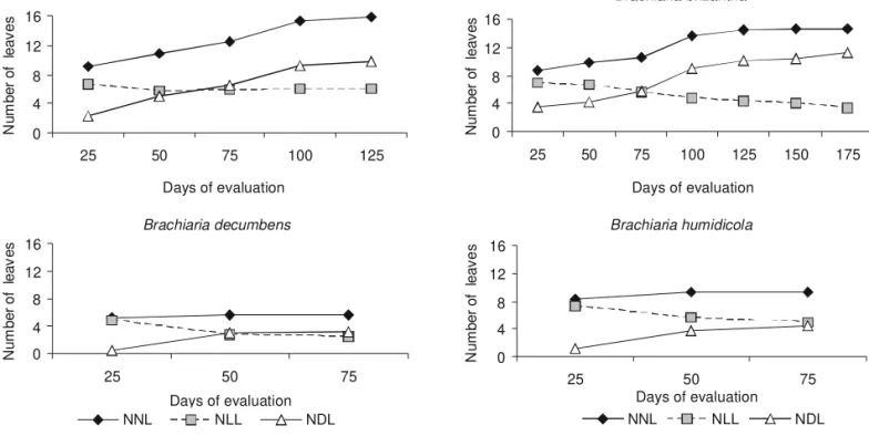 Figure 3 - Number of new leaves (NNL), number of live leaves (NLL) and number of dead leaves (NDL) per tiller for P