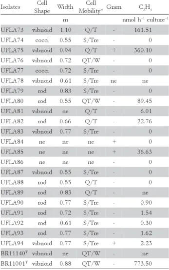 Figure 3 – Protein profiles obtained by polyacrylamide gel electrophoresis  of isolates obtained from the soil of land use systems (LUS) in Amazonian