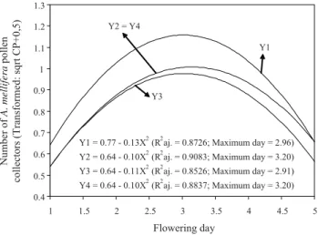 Table 1 – Average number of  visits of  Apis mellifera per capitulum in five sunflower genotypes, during the flowering period.