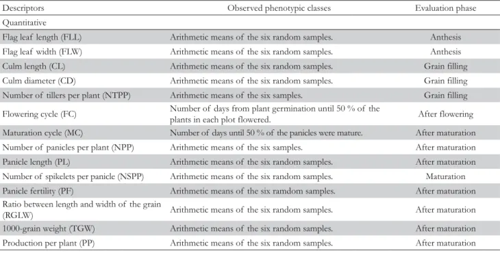 Table 3 – Quantitative descriptors used to evaluate 146 upland rice accessions from Japan and three Brazilian cultivars (controls).