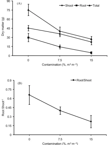 Table 1 – Content of  chlorophyll a, chlorophyll b, total chlorophyll and chlorophyll a/b ratio in B