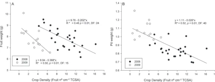 Figure 3 – Relationships between crop density and fruit fresh weight (A) and between crop density and pit weight (B), in table olive ‘Nocellara del  Belice’ after chemical thinning with naphthaleneacetic acid (NAA) (200 mg L –1 ).