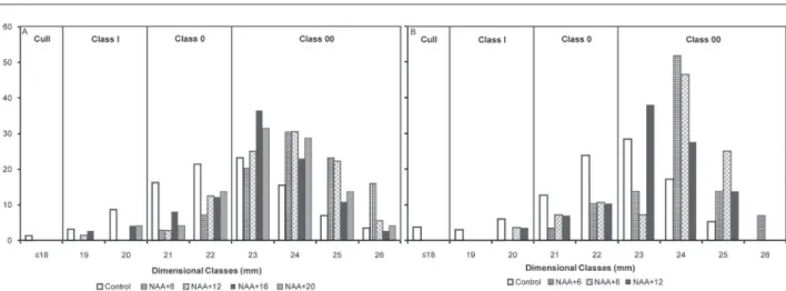 Figure 4 – Percent of fruit distribution in commercial dimensional classes of the table olive ‘Nocellara del Belice’ after chemical thinning with  naphthaleneacetic acid (NAA) (200 mg L –1 ) at 6, 8, 12, 16 and 20 days after full bloom (DAFB)